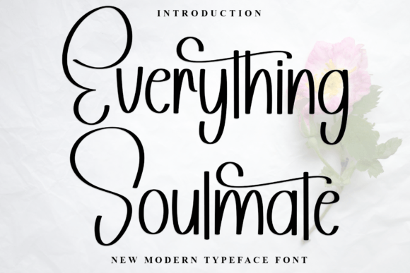 Everything Soulmate Font Review