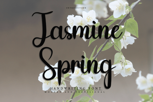 Jasmine Spring Font for Web Design